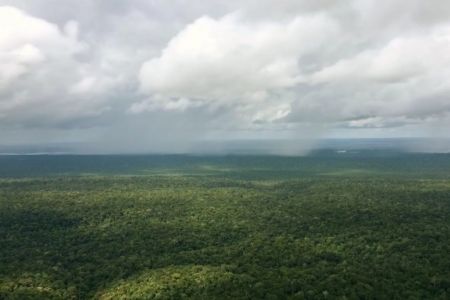 AMAZONIENS FLIEGENDE FLÜSSE